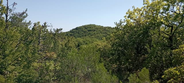 Гора Миллионы