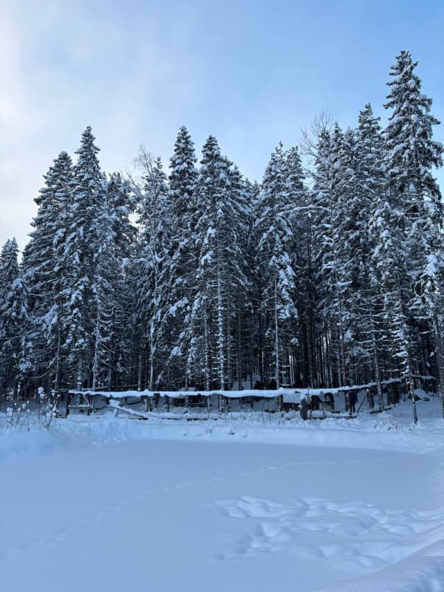 Деревня саамов