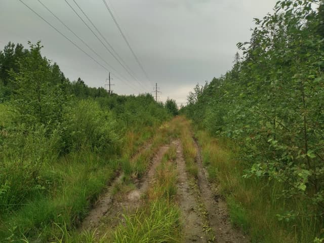 Горная вершина