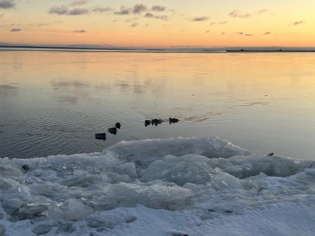 Каменное кресло