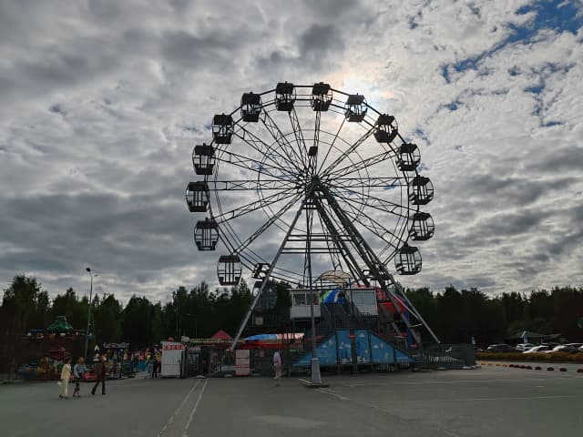 Роща карельских берёз