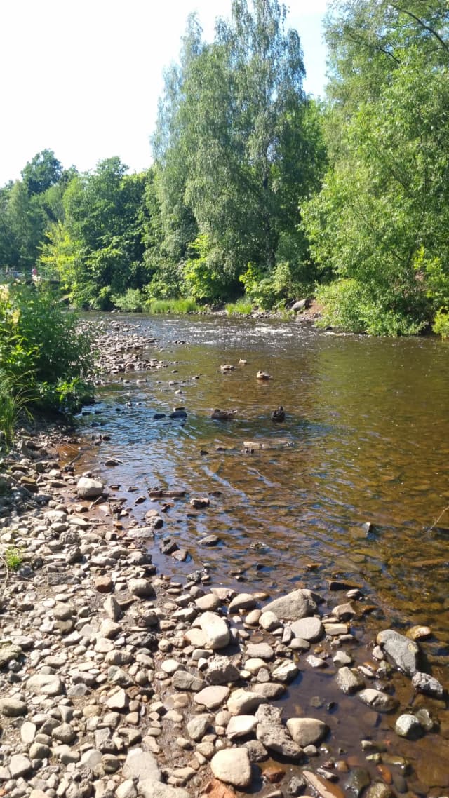 Смотровая площадка