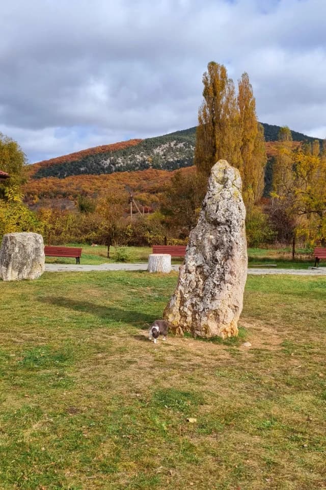 Скельские менгиры — панорама