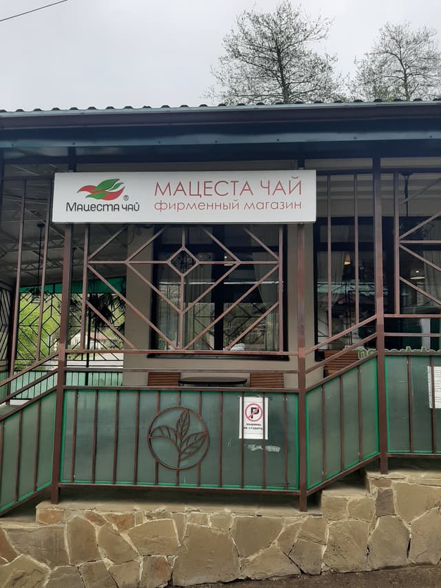 Чайная плантация Мацесты