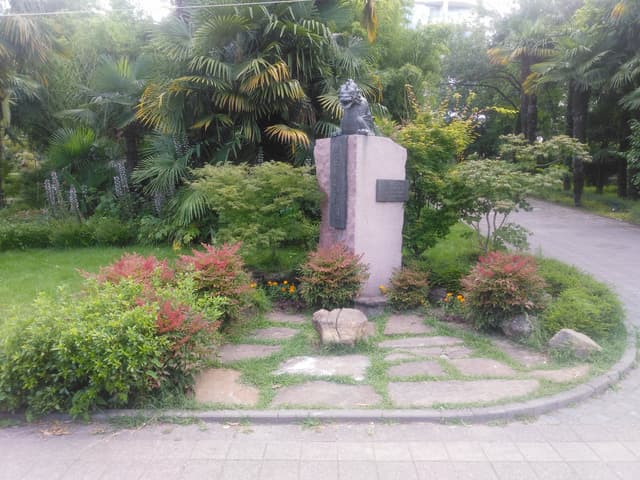 Дракон