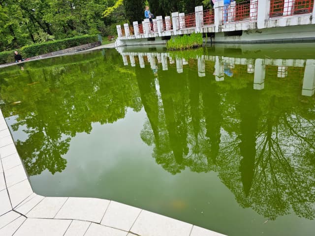 Китайский дворик