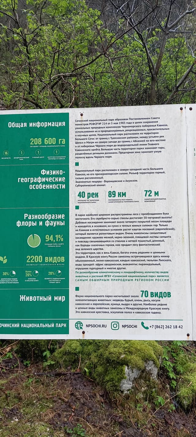 Пасть дракона