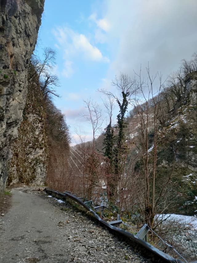 Старое Краснополянское шоссе