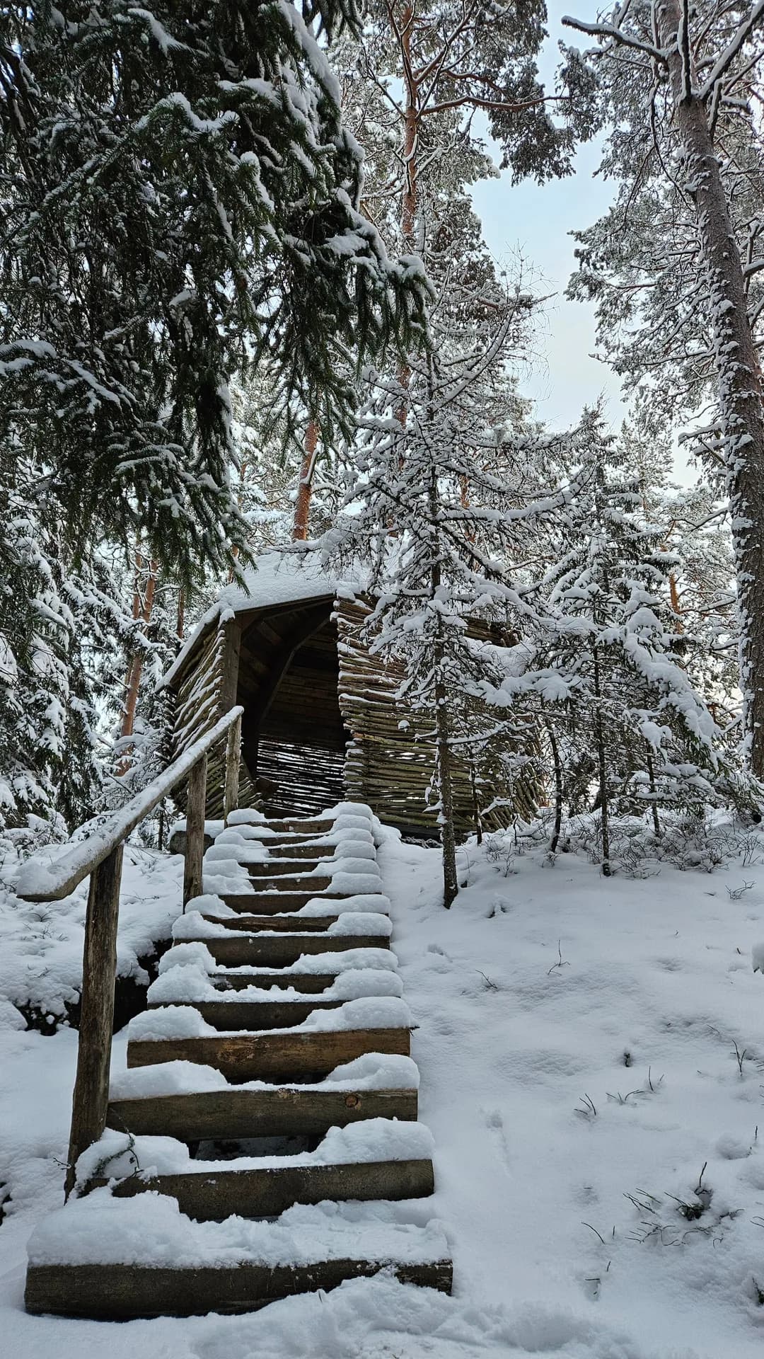 Экотропа