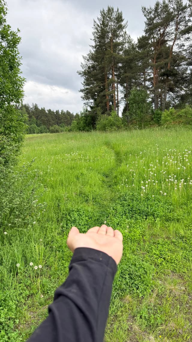 Экотропа