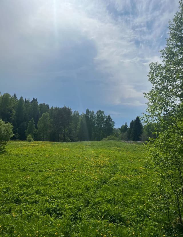 Гора Лакеамяки