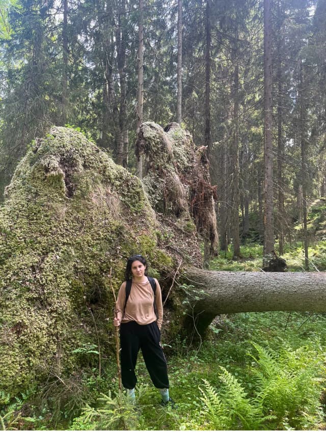 Гора Лакеамяки