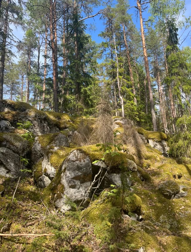 Гора Лакеамяки