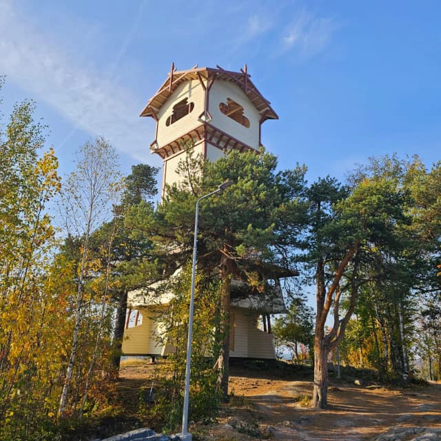 Смотровая башня