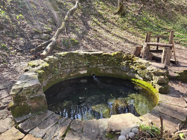 Родник Чаша