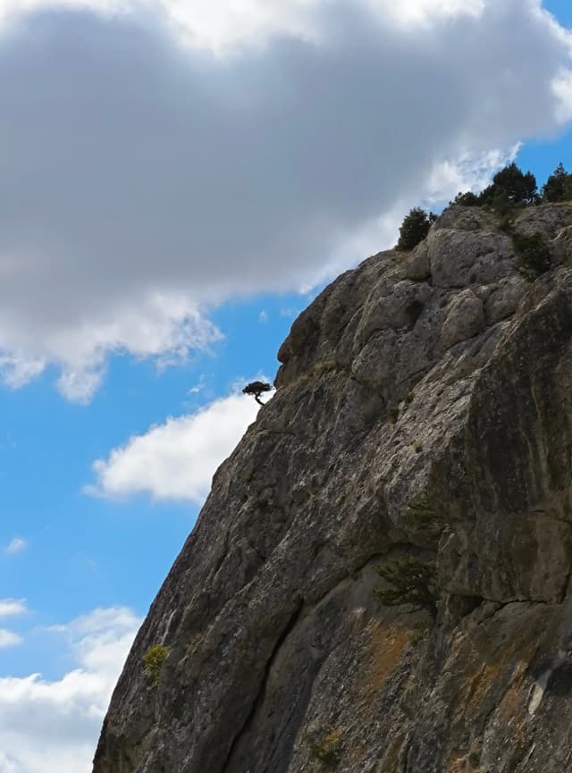Таракташ