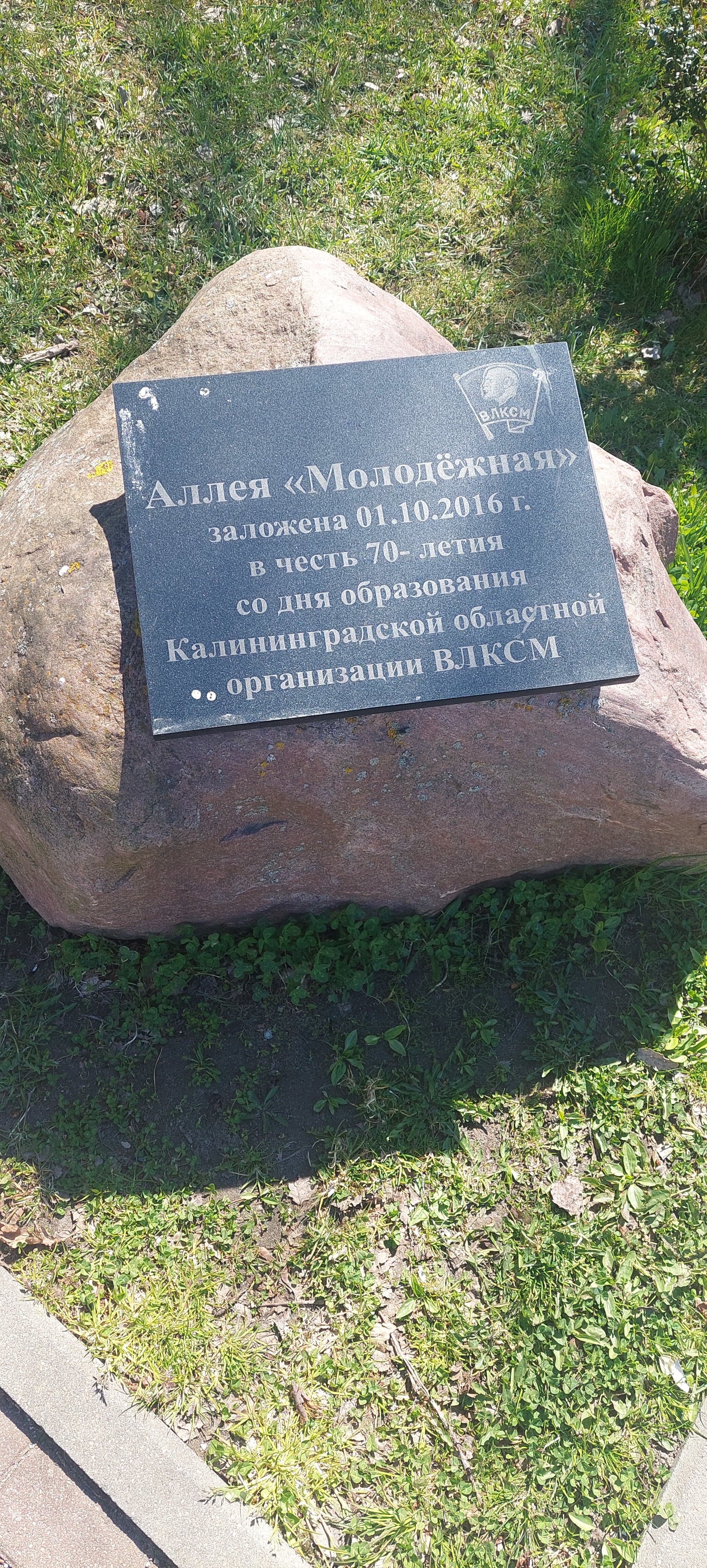 Аллея Молодёжная