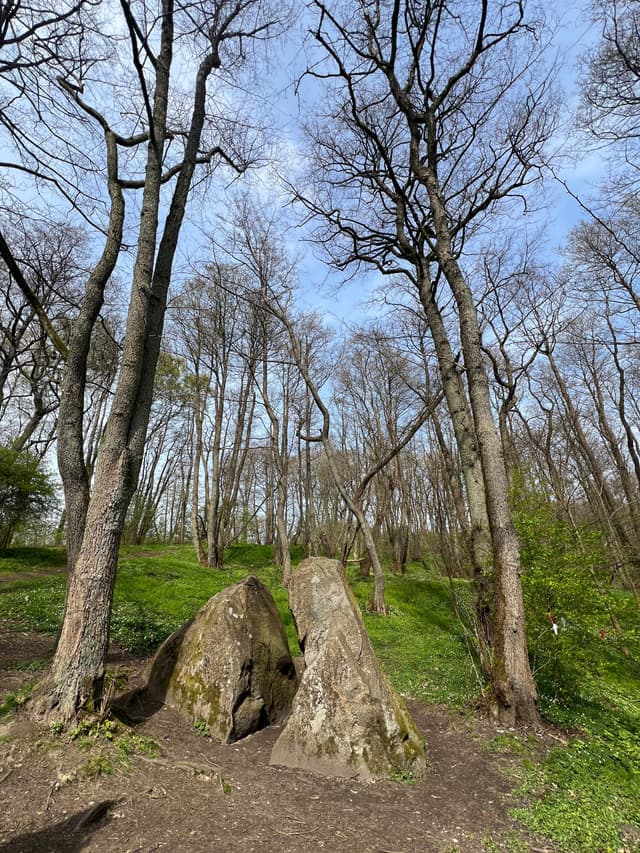 Камень лжи