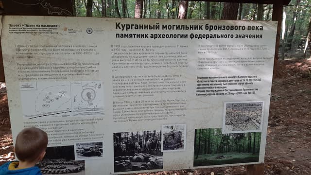 Курган