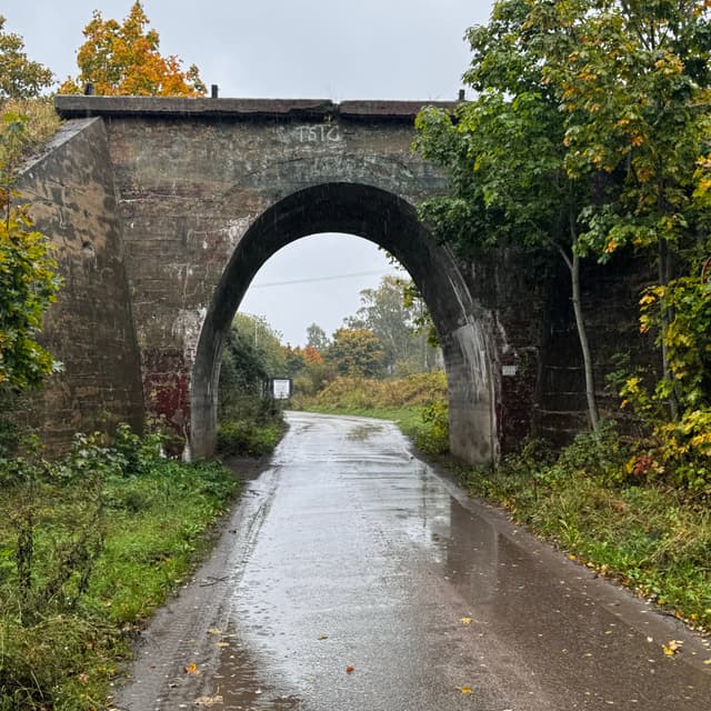 Северный железнодорожный мост