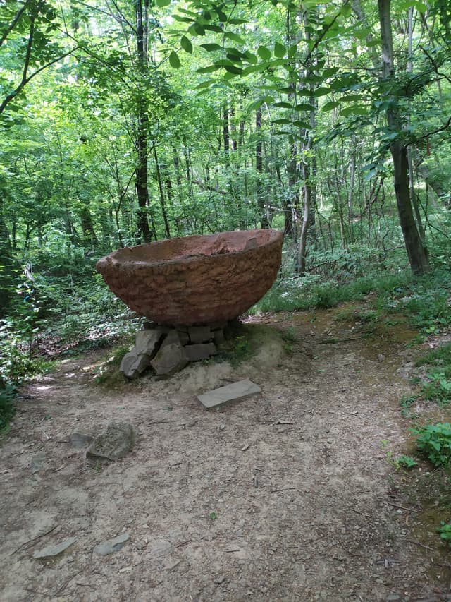 Чаша жизни