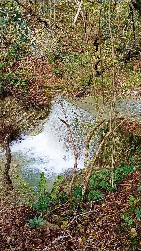 Водопад Виктория