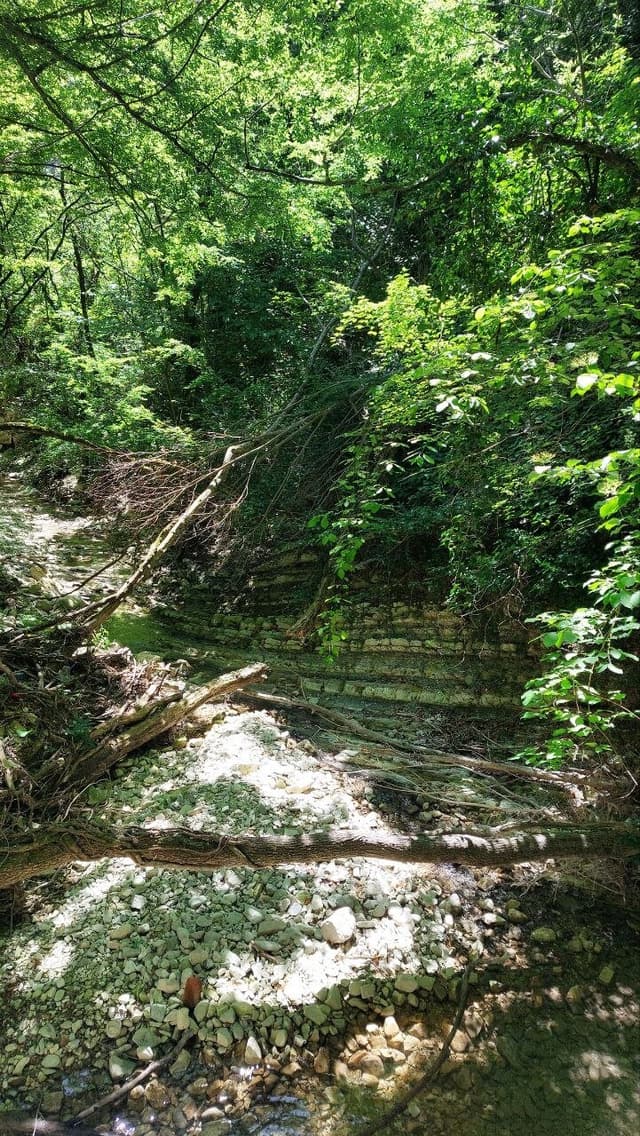 Водопад Виктория
