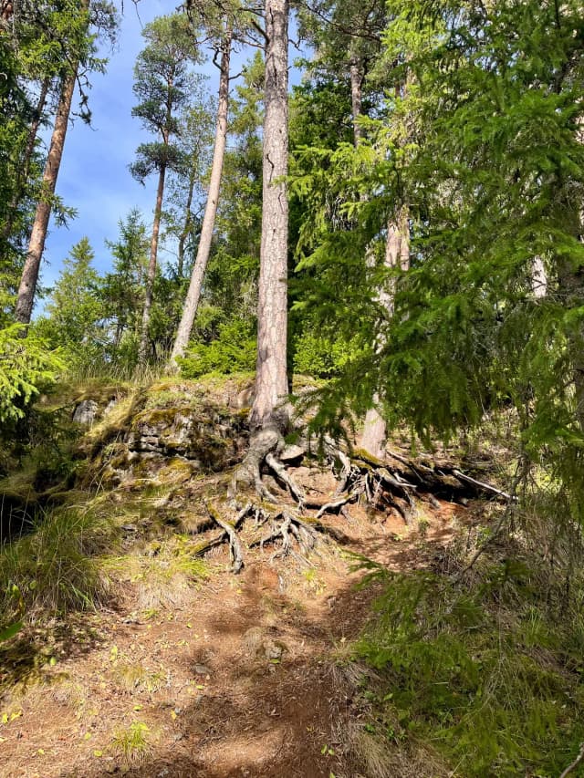 Гора Красная