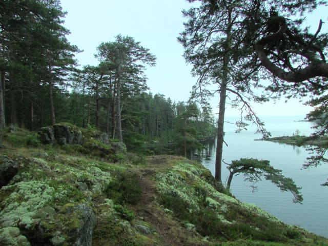 Гора Железняковская