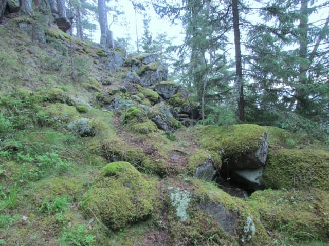 Гора Железняковская
