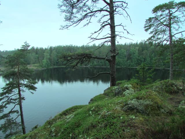 Гора Железняковская