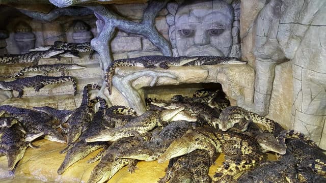 Ялтинский крокодиляриум — панорама