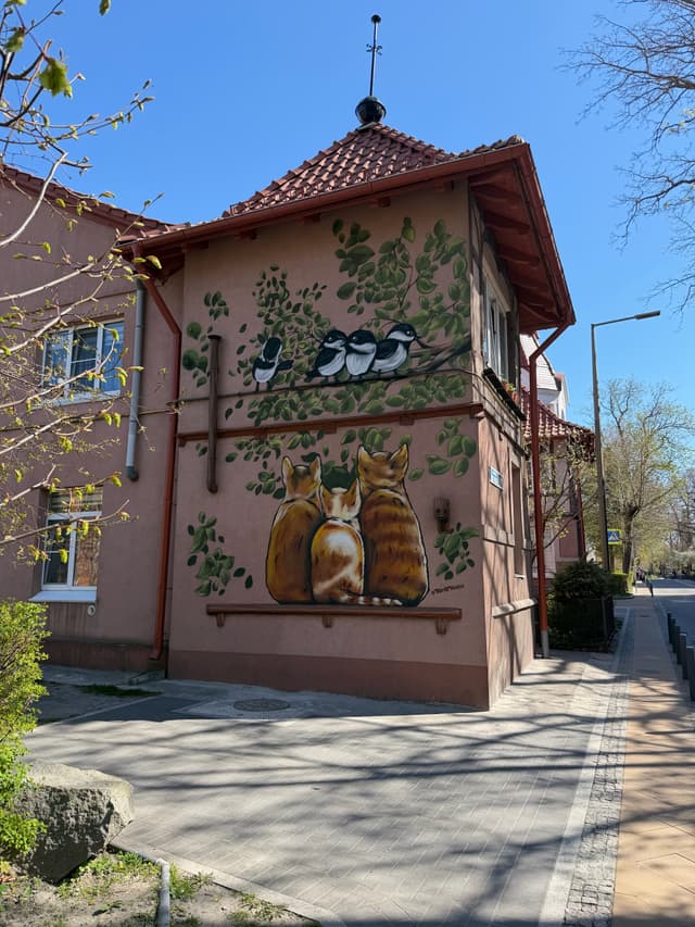 Домики кошек