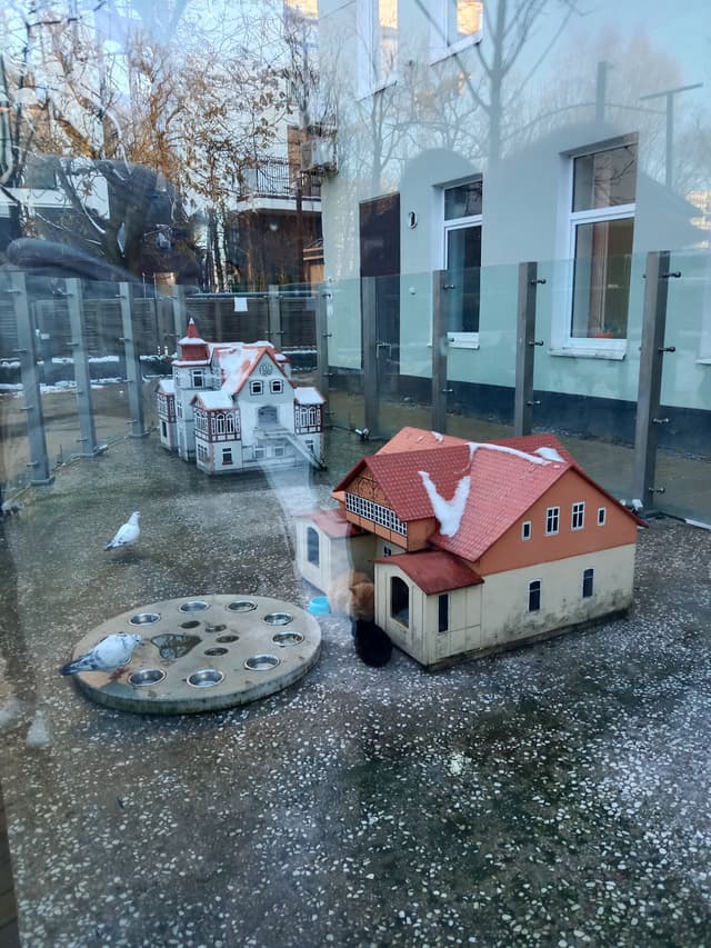 Домики кошек