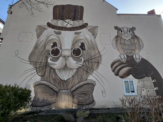 Дружелюбный кот