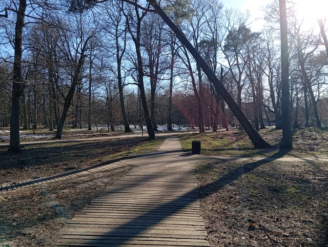 Городской парк