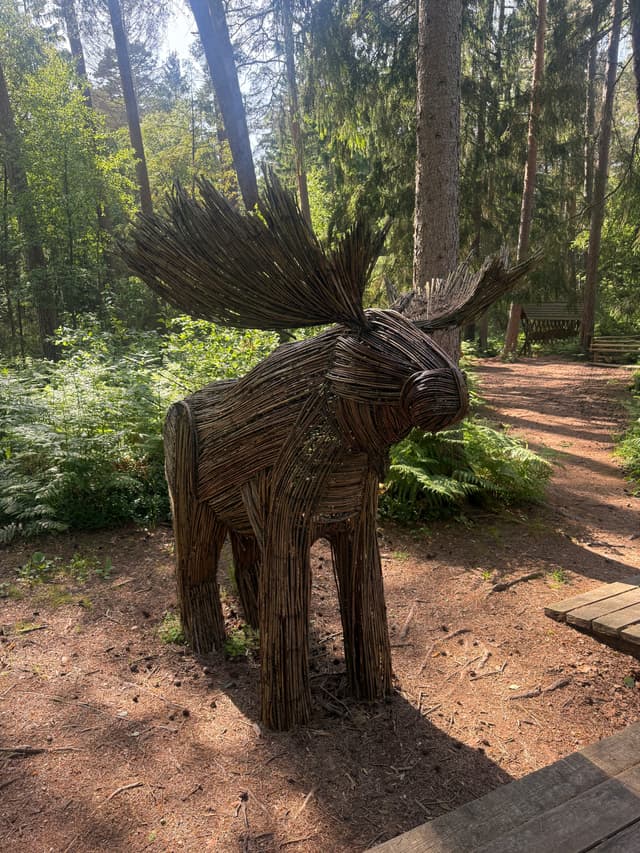 Королевский лес