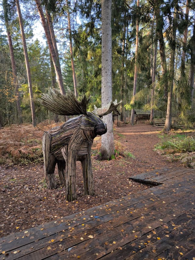 Королевский лес