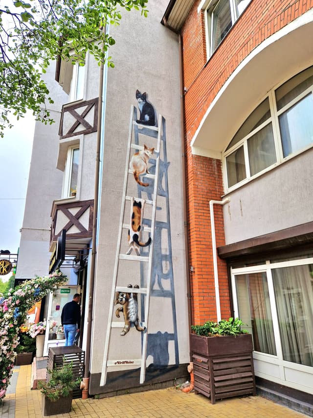 Кошки на лестнице