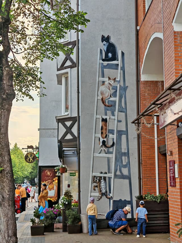 Кошки на лестнице