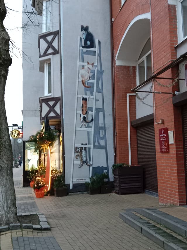 Кошки на лестнице