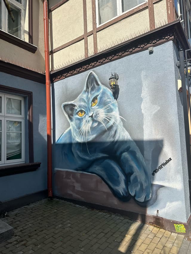 Кот