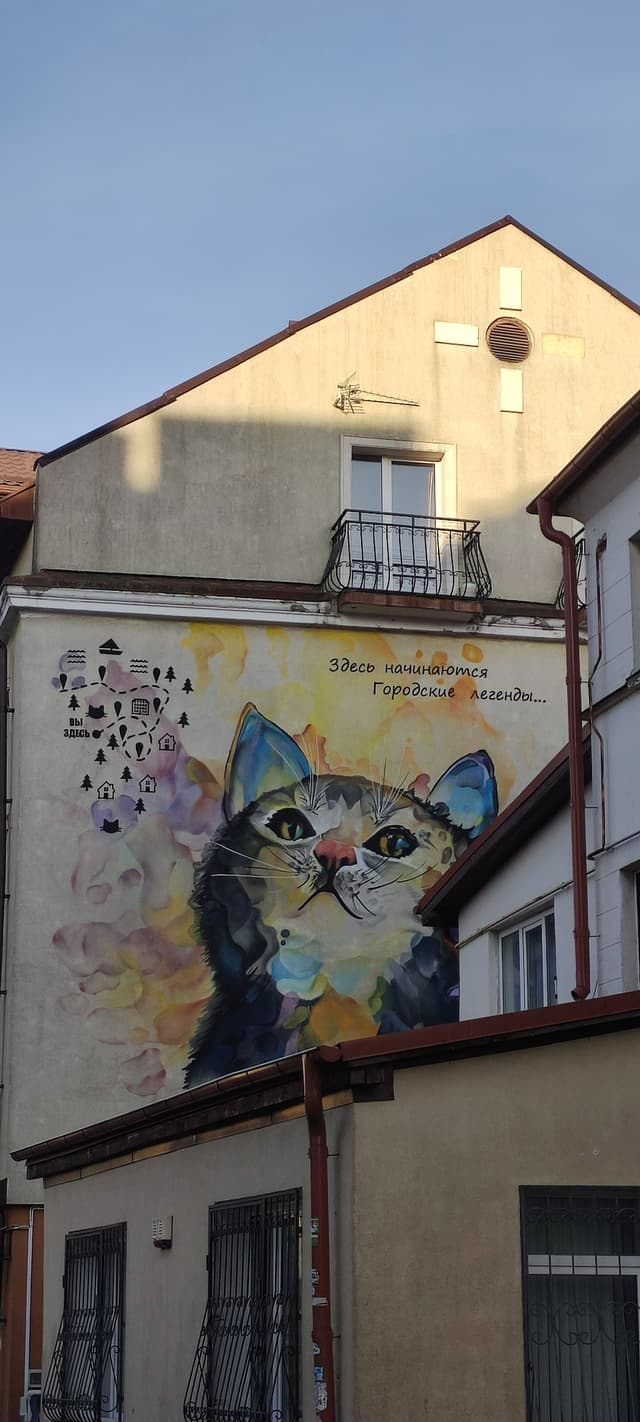 Мурал Кот-разноцветный