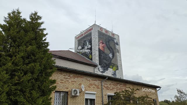 Мурал Пожарный кот