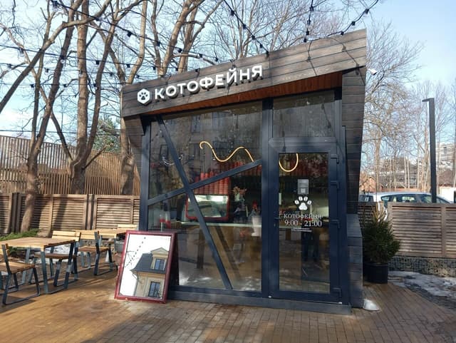 сквер Котофейня
