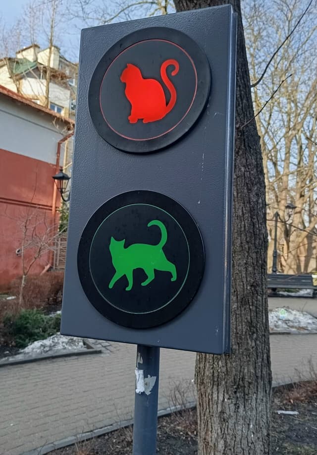 сквер Котофейня