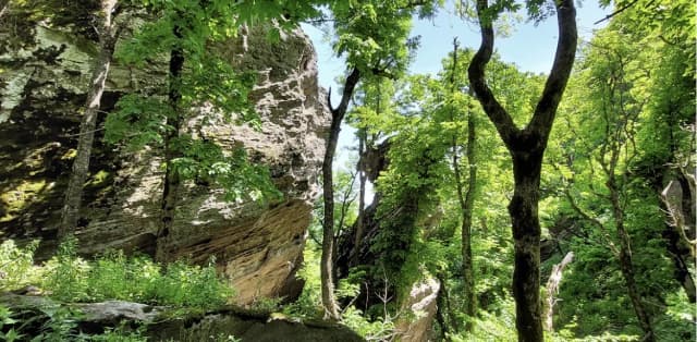 Селитренные скалы в Железноводске — фото изнутри