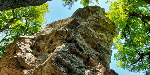 Селитренные скалы в Железноводске — панорама