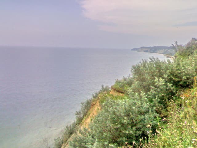 Янтарный