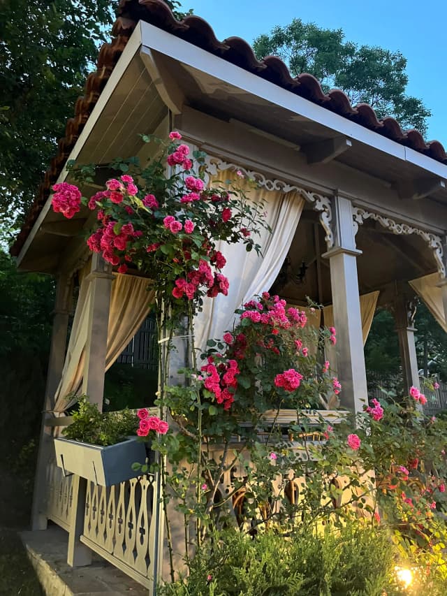 Вилла Роз